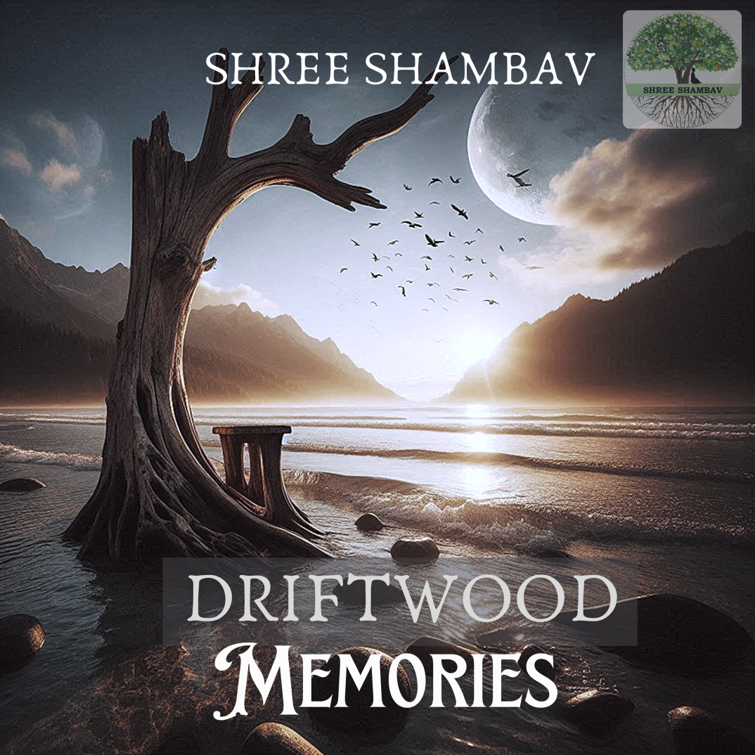 Cover of Driftwood Memories